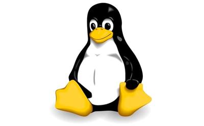 Share settings and documents between Linux and Windows