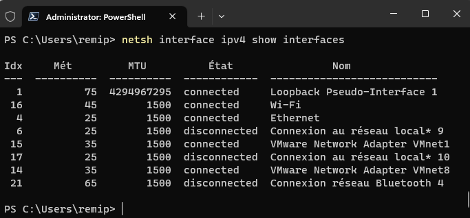 netsh interface ipv4 show interfaces